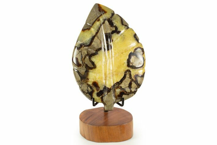 Polished Septarian Leaf with Stand - Madagascar #337672